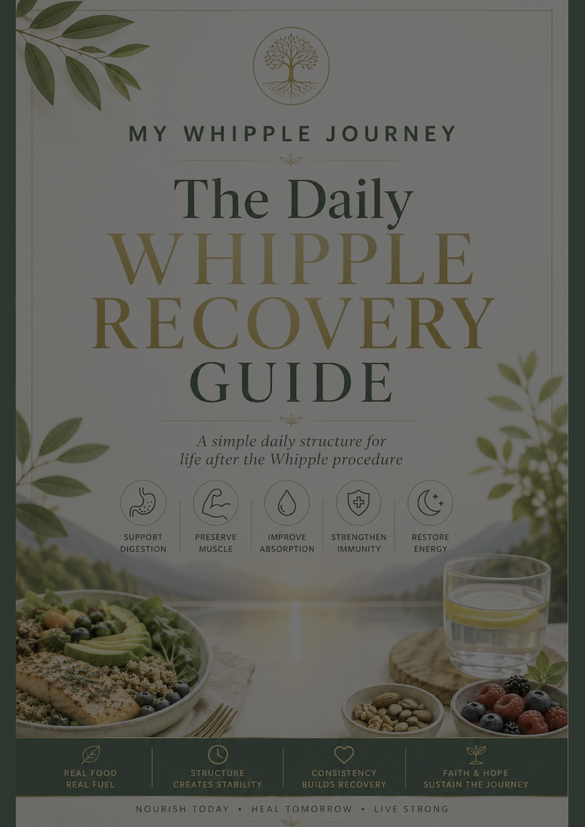The Whipple Recovery Guide book cover